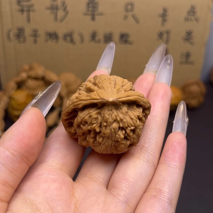 ****人菩提籽类蛇头单只异型有瑕