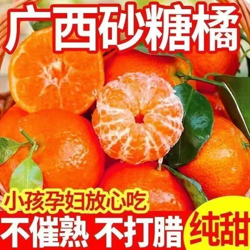 【爆甜】广西薄皮砂糖橘当季新鲜水果沙糖桔现摘薄皮直发橘子