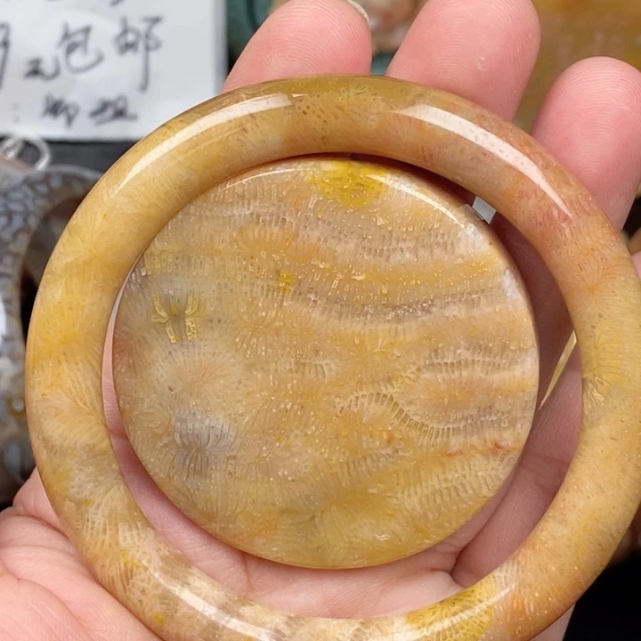 硅化玉未镶嵌颈饰58