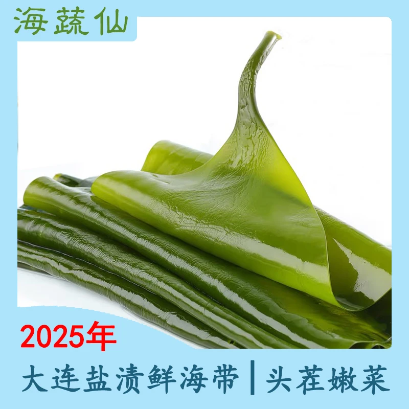 2025年大连头茬盐渍小海带5斤（含箱）
