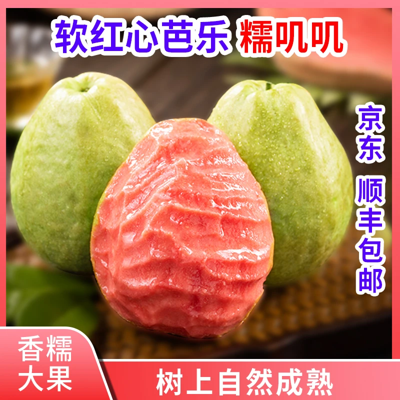 【京东顺丰】广西软红心芭乐香糯大果番石榴芭乐果低糖水果当季新鲜