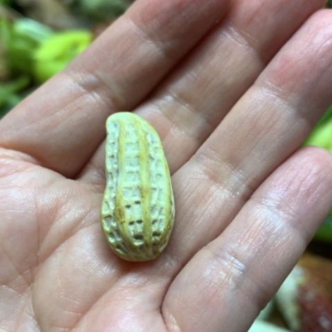 蛇纹石玉摆件未镶嵌东**日