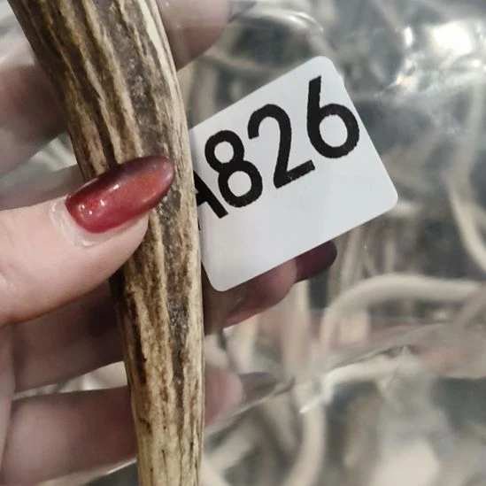 熊****鹿角鹿角鹿角鹿角鹿角鹿角