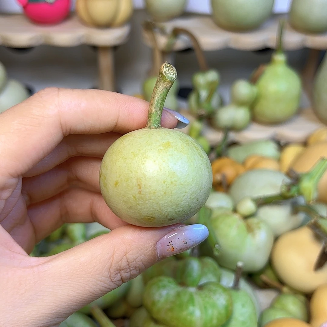 木诺**๑小苹果也可以吃