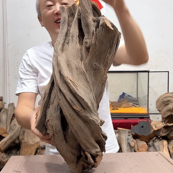 柏木蔡****室我们都是好孩子呀我也是