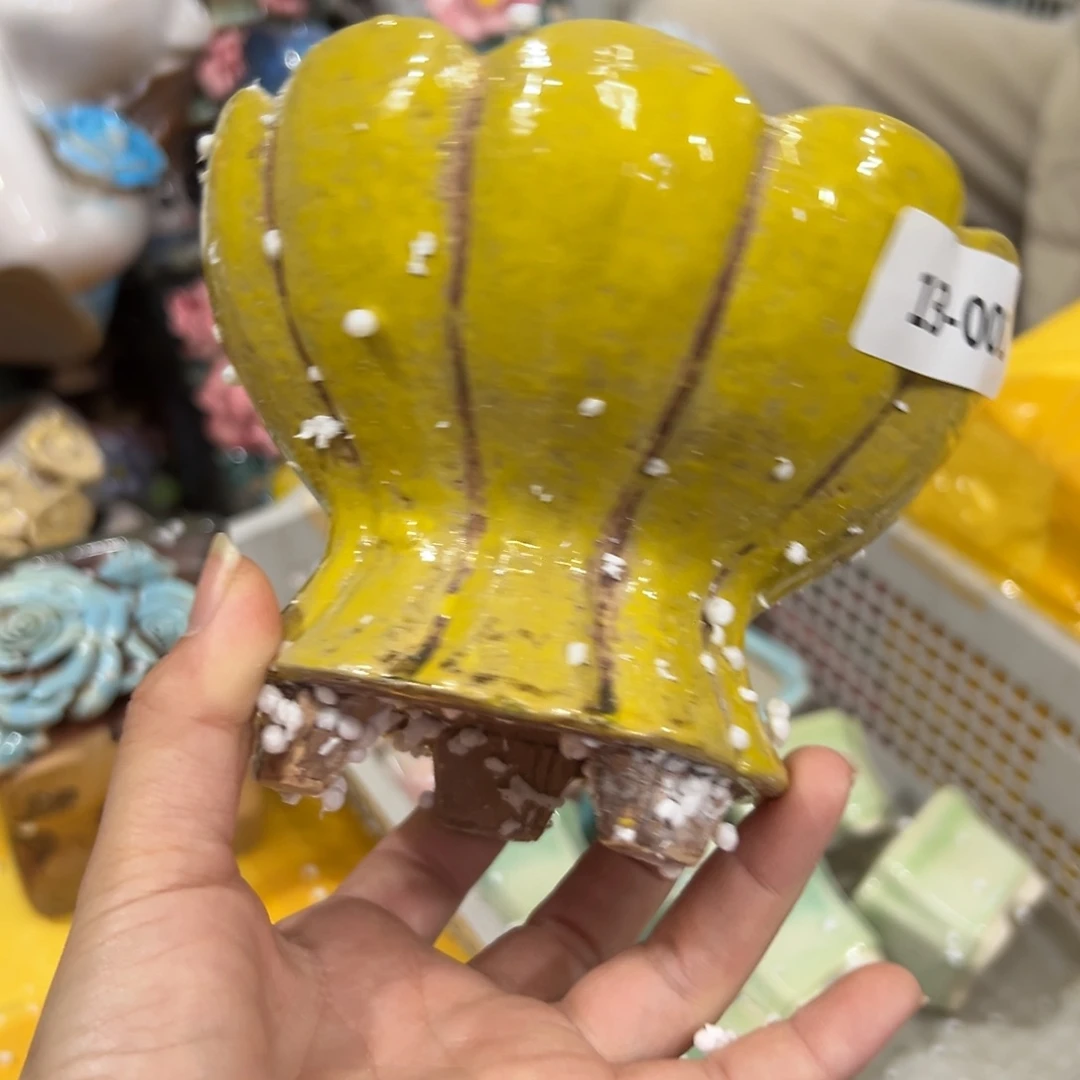 瑕疵1301 花盆拍满20元发货，退款的拉黑