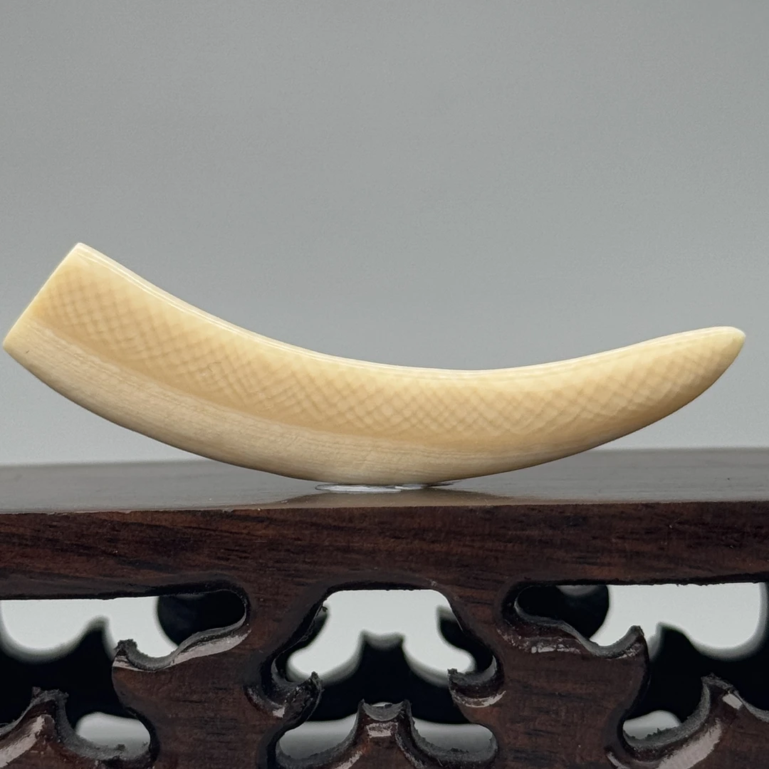 DEZHI/德志3g带皮牙尖55*10*4mm猛犸牙默认打孔配吊坠绳K912