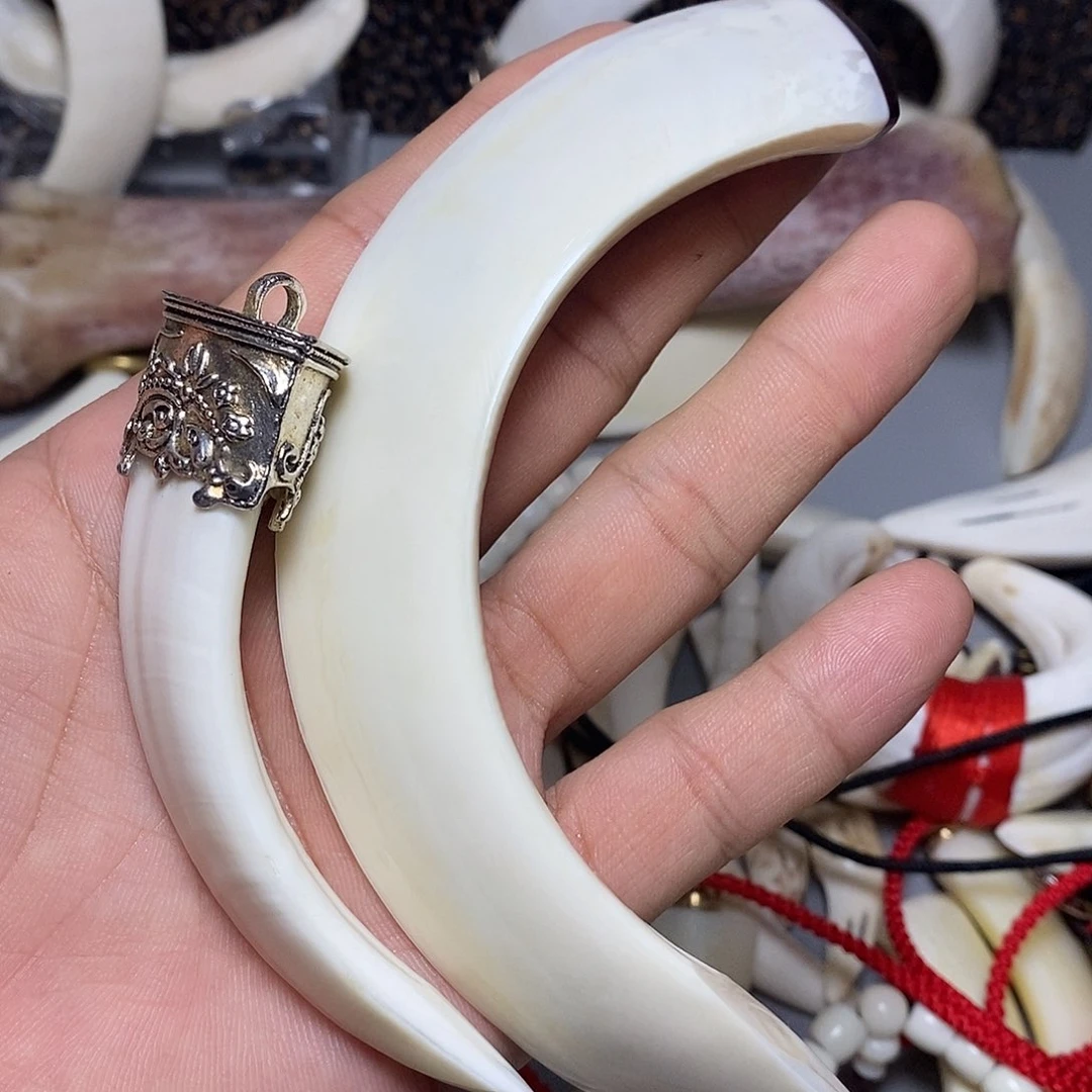 猪牙手串/手链猪大牙