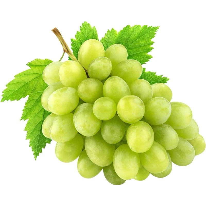 青提一盒装约500克云南省