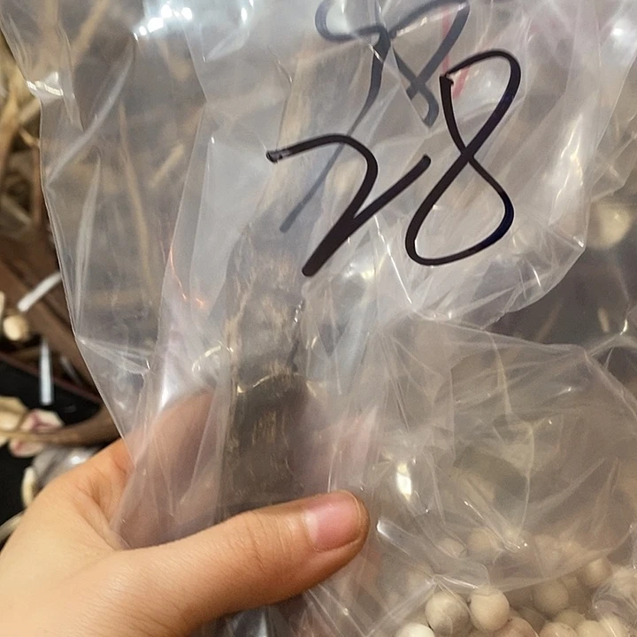 踏***梅鹿角鹿角鹿角鹿角鹿角