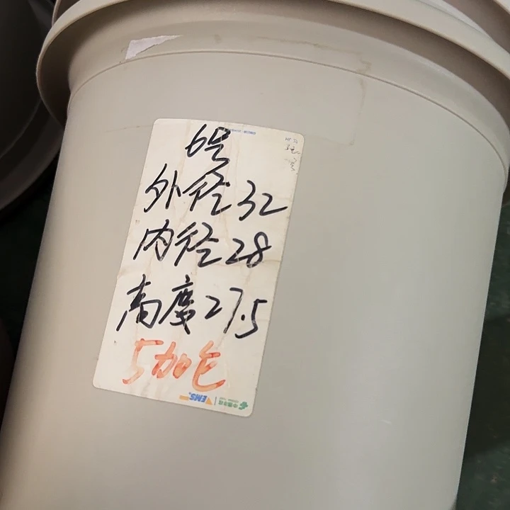 四季6号灰白无托7个特价微瑕
