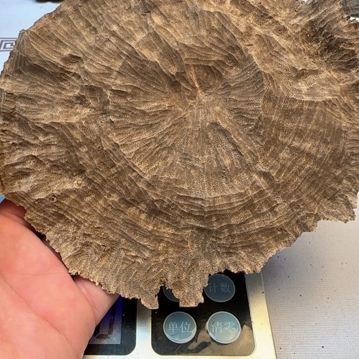 沉香摆件天***@海南三亚包边头27克