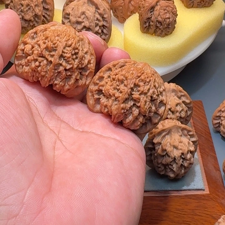 全品满天星狮子头尺寸40