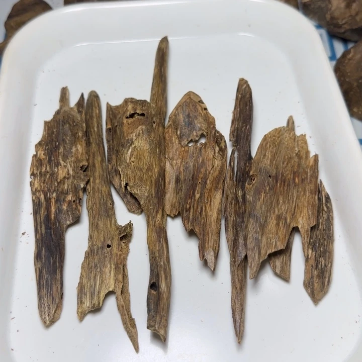 吃***的线香绿奇陆河虫漏53克