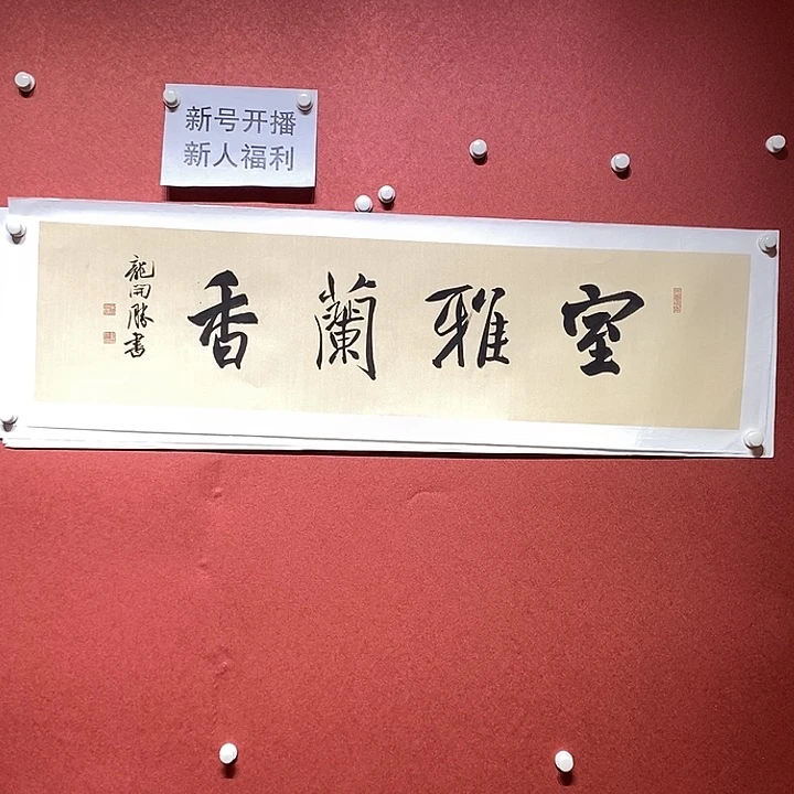 书法室雅兰香直播大漏