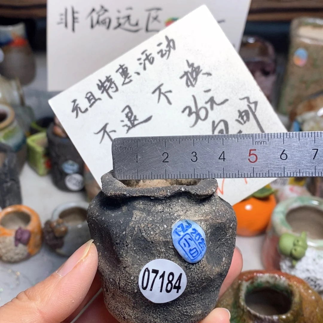 花盆拍5个送一个小礼物