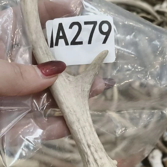 ****雨鹿角鹿角鹿角鹿角鹿