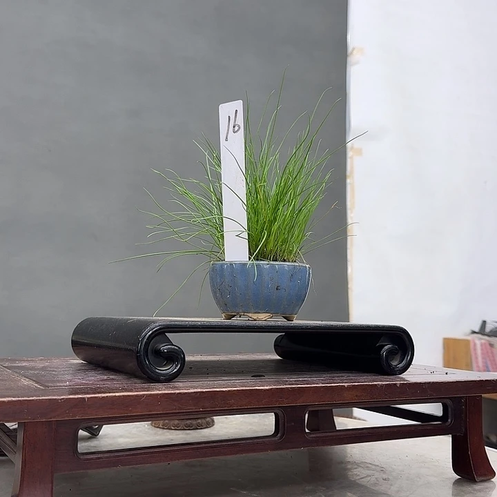 心***致16顺丰到付不包邮