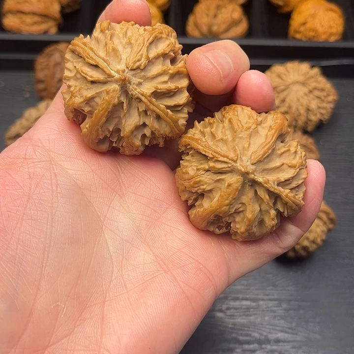 核桃秦岭山脉中段怒江与澜沧江