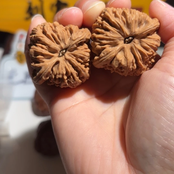 青***蛙大叶紫檀（黑酸枝木类）