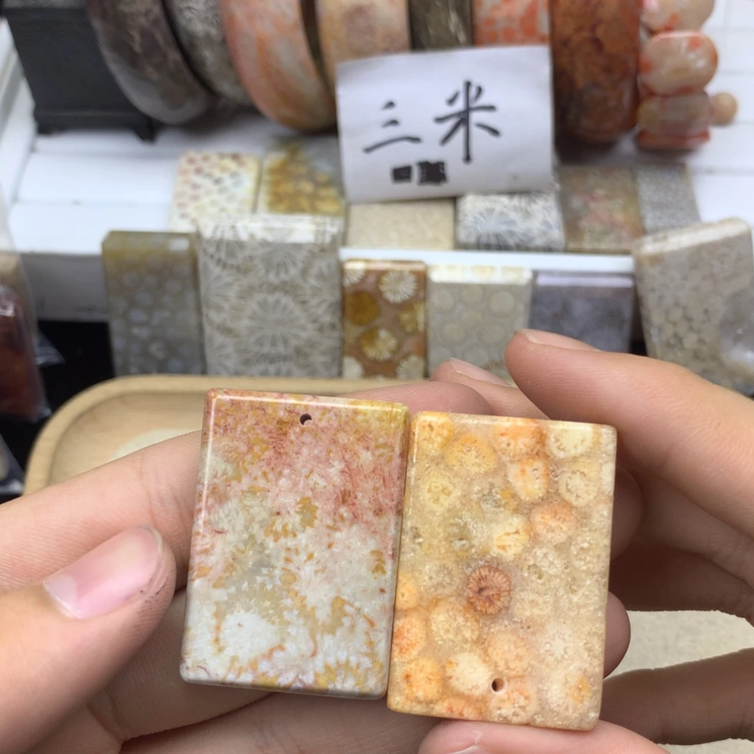 我***了硅化珊瑚（珊瑚玉）未镶嵌颈饰