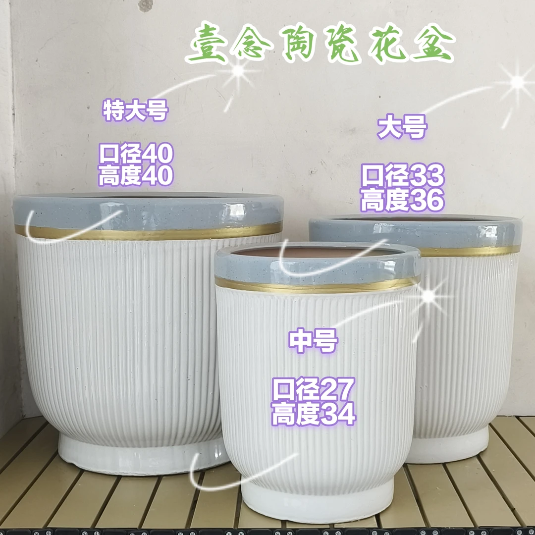 简约金线碗型花盆大口径透气适合客厅种植金钱树发财树等绿植