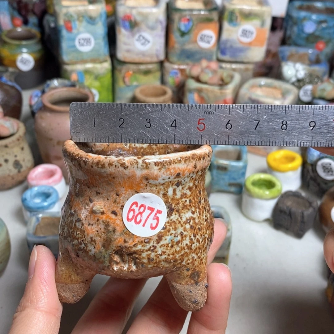 拍5送一个小礼物