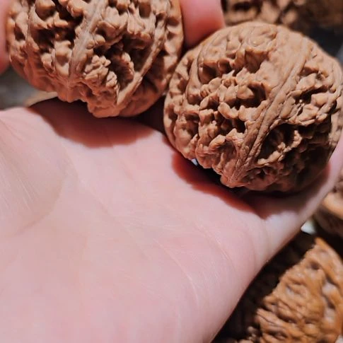 吊坠文玩核桃47粗筋