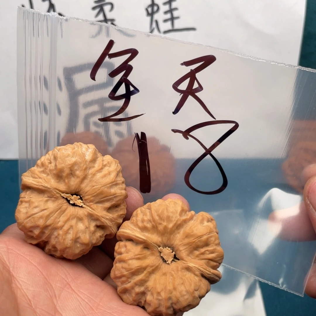 核桃手串/手链W396649496694964