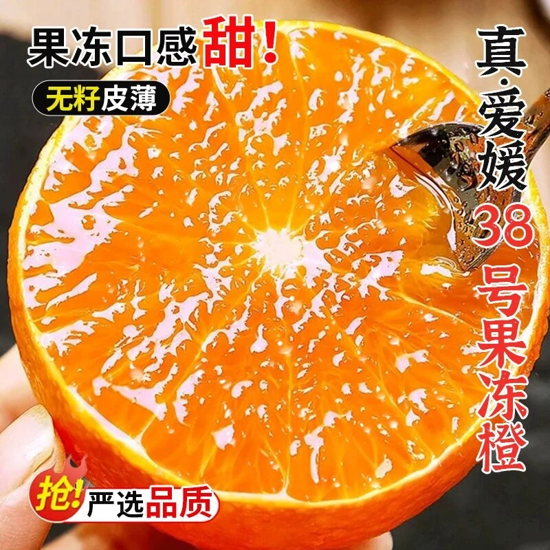 正宗四川爱媛38号果冻橙新鲜现摘现发香甜爆汁