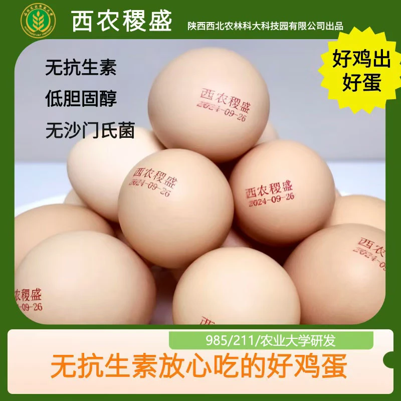 西农稷盛杜仲无抗可生食鸡蛋985/211农业大学无菌蛋