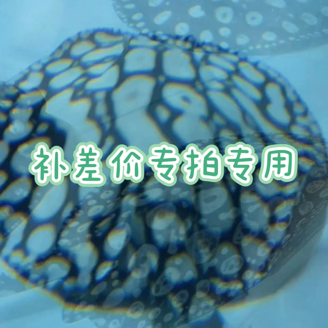 【购买前请联系客服确认】补收差价专用商品