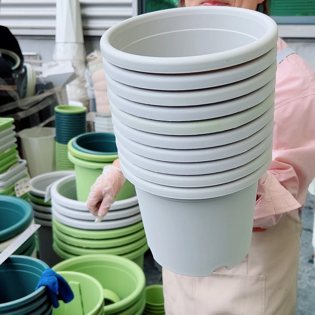 瑕疵四季盆4#灰白色12个无托