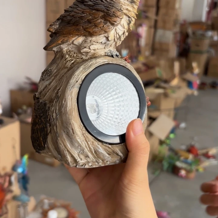 盖碗样品样品样品猫头鹰bu亮