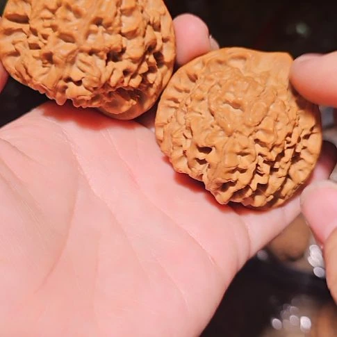 吊坠文玩核桃50龙鼎管