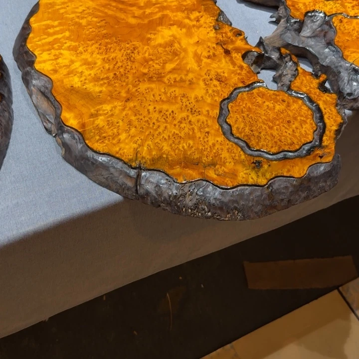 百年老枯木干泡台子