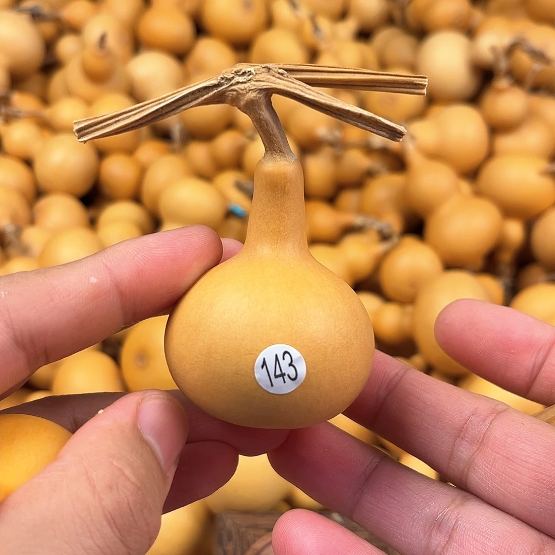 一葫芦葫芦葫芦葫芦143