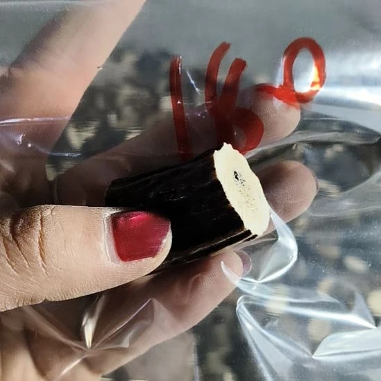 从***前鹿角鹿角鹿角鹿角鹿角鹿角