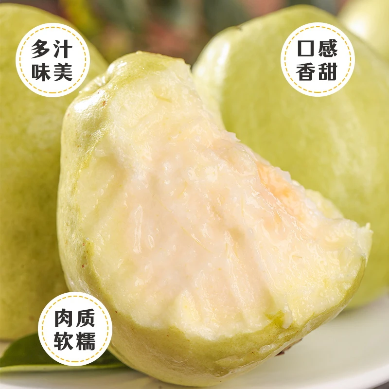 广西白心奶油芭乐冰淇淋口感糯软香甜当季产地直发坏果包赔