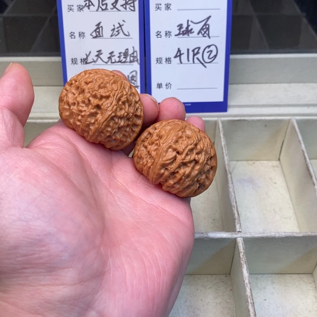 核桃球白（41尺寸）有修