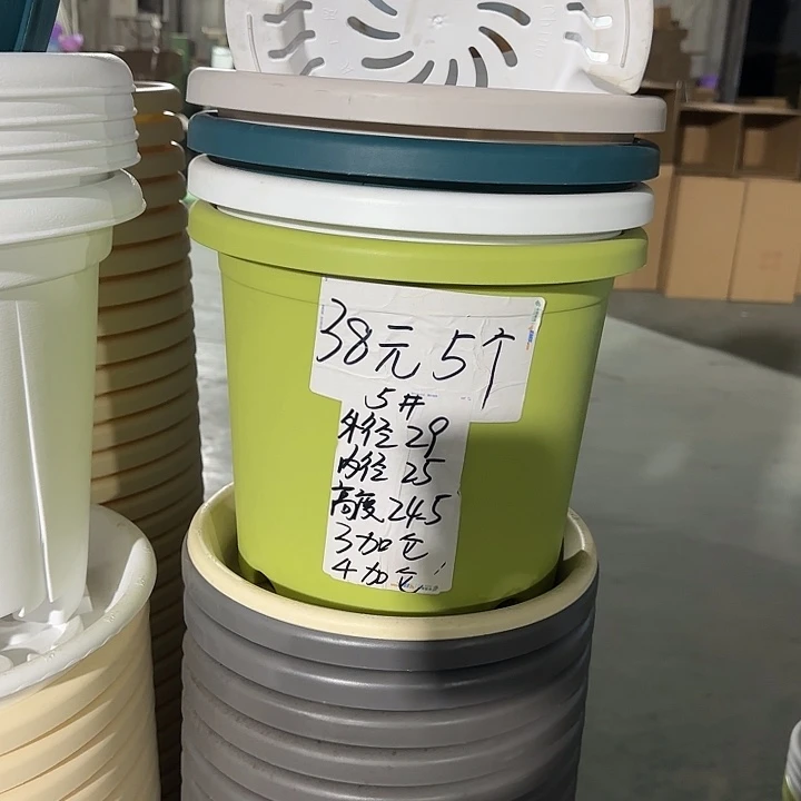 微瑕5#口径29无托果绿5个