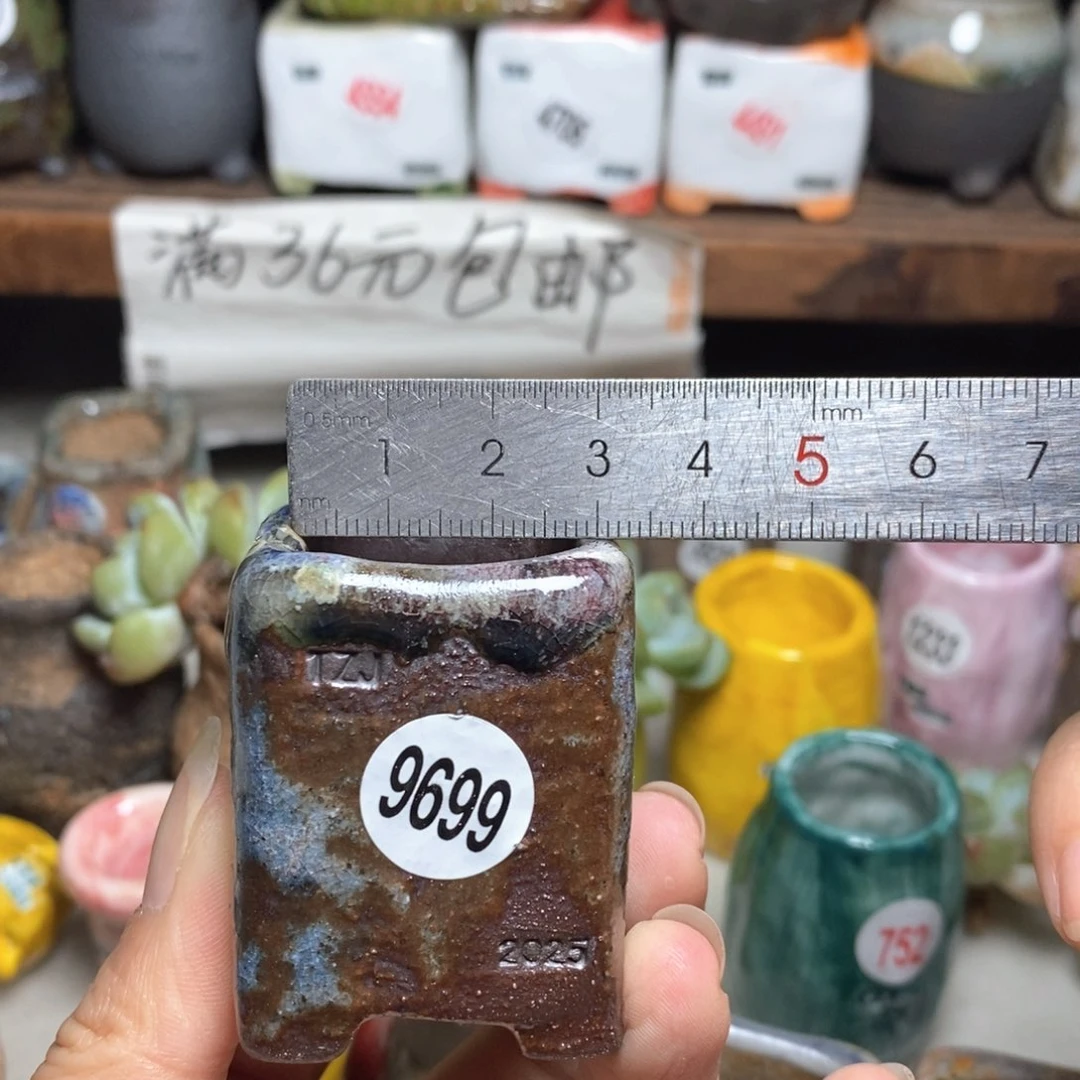 拍3送一个小礼物