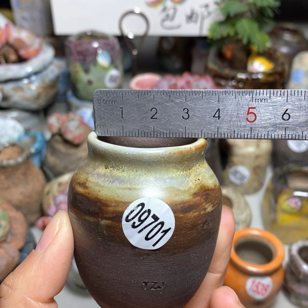 花盆拍5送一个小礼物