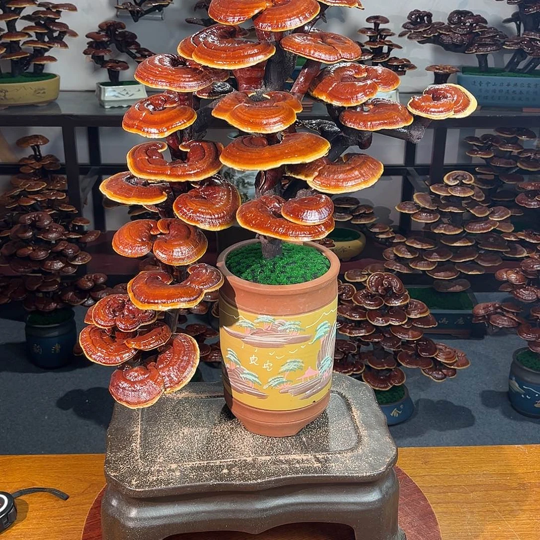 无花朵万事如意88888888888888