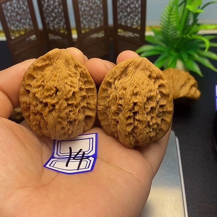 文玩核桃把件38红狮子