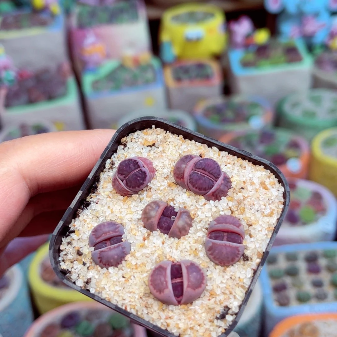 167。8888888888888888