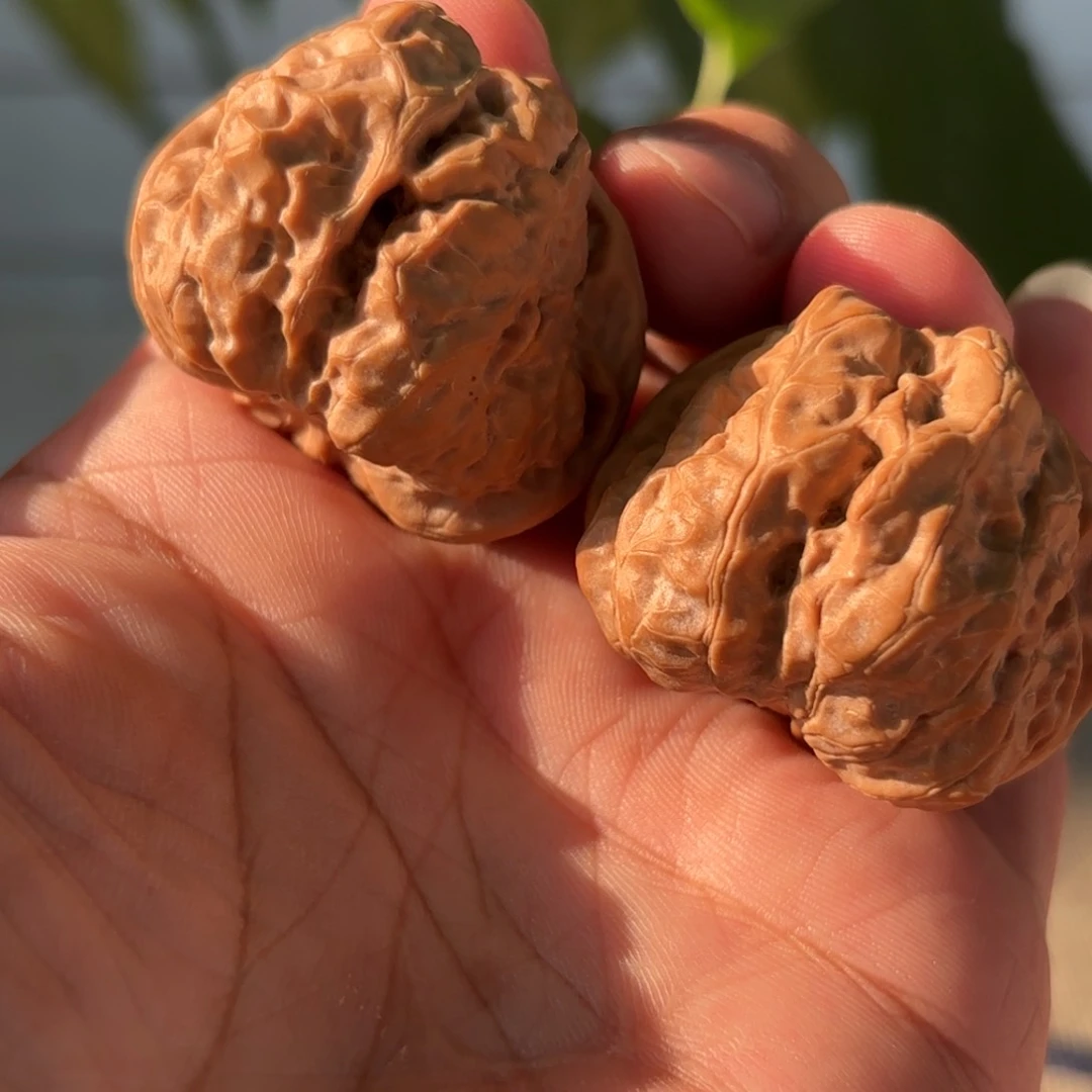 文玩核桃把件涂*蛤蟆