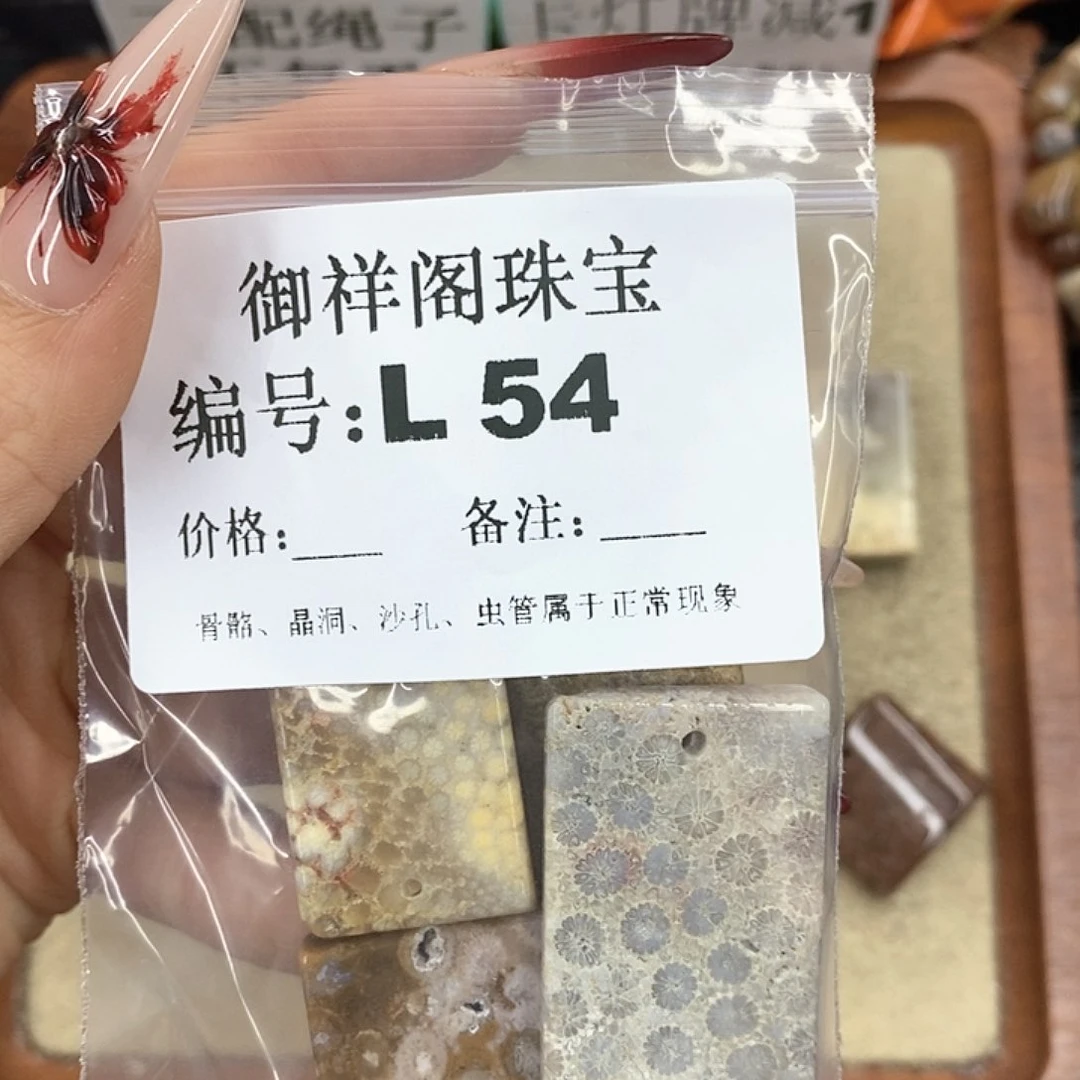 硅化珊瑚（珊瑚玉）颈饰未镶嵌冬*
