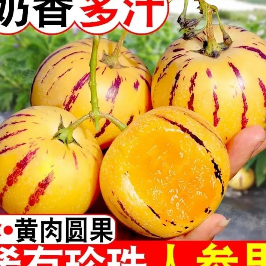 1云南石林树上熟黄肉果新鲜清甜多汁当季水果