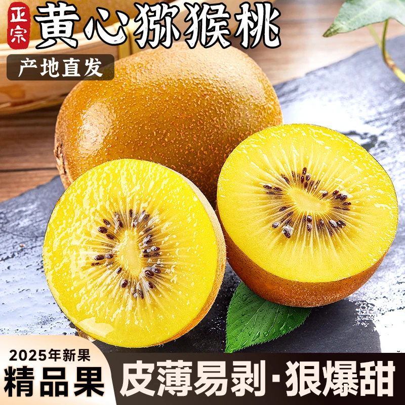 【果探官精选】四川蒲江黄心猕猴桃当季新鲜水果香甜奇异果现采现发